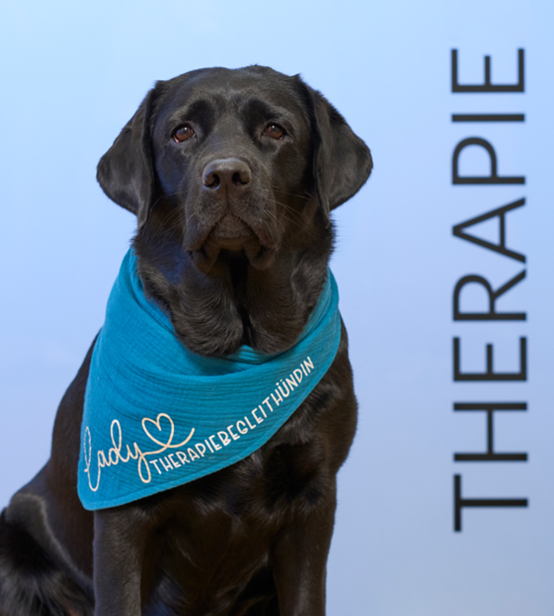 Tiergestützte Therapie