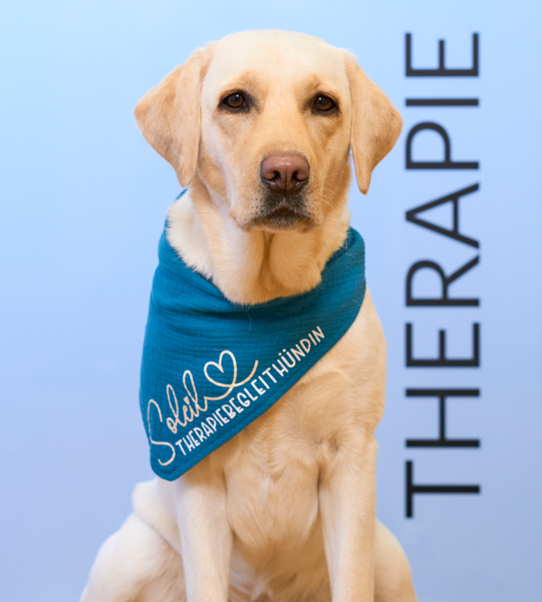 Tiergestützte Therapie
